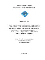 phân tích tình hình rủi ro tín dụng tại ngân hàng thương mại cổ phần đầu tư và phát triển việt nam, chi nhánh cần thơ