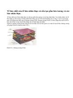 Khung xương tế bào