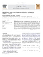 Clays and oxide minerals as catalysts and nanocatalysts in Fentonlike reactions