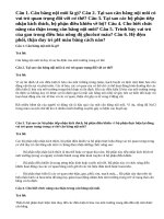 Bài 1,2,3,4,5,6 trang 90 SGK Sinh 11