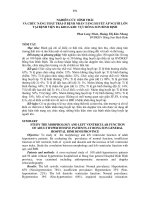 nghiên cứu hình thái và chức năng thất trái ở bệnh nhân tăng  huyết áp người lớn tại bệnh viện đa khoa khu vực bồng sơn bình định 