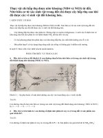 Dinh dưỡng nitơ ở thực vật(tiếp)