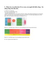 Lý thuyết bài tiêu hóa và các cơ quan tiêu hóa