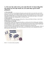 Cấu trúc của prôtêin