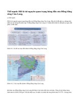 Các thế mạnh và hạn chế chủ yếu