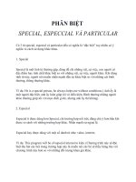 Phân biệt special, especcial và particular trong tiếng anh