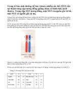 Tính đặc trưng của bộ nhiễm sắc thể