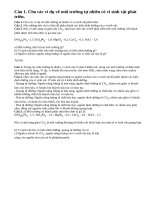 Câu 1, câu 2, câu 3 trang 91 sinh học lớp 10