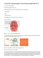 Lý thuyết bài tiêu hóa ở khoang miệng