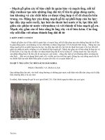 Lý thuyết Vận chuyển các chất trong cây