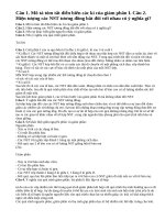 Câu 1, câu 2, câu 3, câu 4 trang 80 sinh học lớp 10