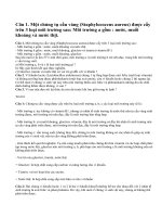 Câu 1, câu 2, câu 3 trang 109 sinh học lớp 10