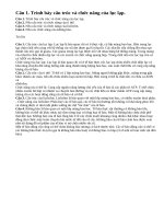 Câu 1, câu 2, câu 3, câu 4 trang 43 sinh học lớp 10