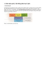 Giới và hệ thống phân loại 5 giới