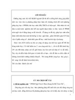 skkn phương pháp giảng dạy ngữ văn 6 theo dạng sơ đồ tóm tắt