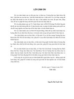 Luận án tiến sĩ nghiên cứu tổng hợp vật liệu titan dioxit có hoạt tính xúc tác quang trong vùng khả kiến và khả năng ứng dụng trong gốm sứ, thủy tinh