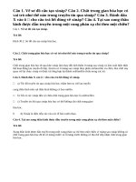 Bài 1,2,3,4 trang 123 Sinh 11