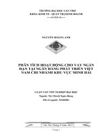 Phân tích hoạt động cho vay ngắn hạn tại ngân hàng phát triển việt nam chi nhánh khu vực minh hải
