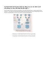 Sự hình thành thể đa bội