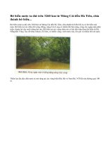 Địa hình bờ biển và thềm lục địa