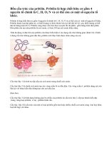 Bốn cấu trúc của prôtêin