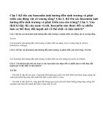 Bài 1,2,3 Sinh 11 trang 154