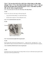 Bài 1,2,3,4 trang 85 SGK Sinh 11