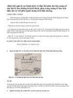 Lý thuyết Điện thế nghỉ