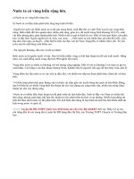 Vùng biển và thềm lục địa của nước ta giàu tài nguyên