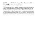 Câu 1 (Mục 2 - Bài học 23 - Trang 85) SGK Địa lí 8