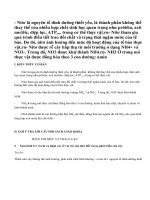 Lý thuyết Dinh dưỡng nitơ ở thực vật