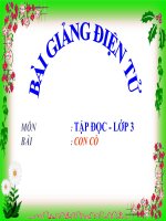 Bài giảng tiếng việt 3 tuần 31 bài tập đọc   con cò 