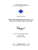 phân tích tình hình lợi nhuận tại công ty cổ phần nhựa cần thơ