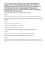 Bài 1,2,3,4 trang 142 Sinh 11