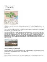 Tình hình phát triển kinh tế sgk địa lí 9