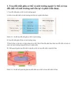 Lý thuyết bài trao đổi chất