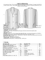 Tài liệu yêu cầu kỹ thuật    VESNAM 2 VE XUOI, XE SUONG (DIEN HINH)