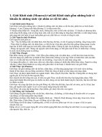 Đặc điểm chính của mỗi giới