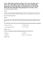 Bài 1,2,3,4 trang 146 Sinh 11