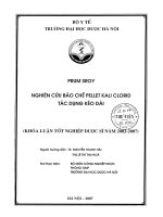 Nghiên cứu bào chế pellet kali clorid tác dụng kéo dài