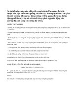 Lý thuyết Ảnh hưởng của nhân tố ngoại cảnh tới quang hợp