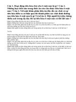 Câu 1, câu 2, câu 3, câu 4 trang 92 sinh học lớp 8