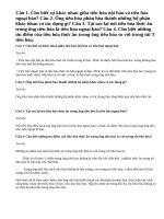 Bài 1,2,3,4 trang 66 SGK Sinh 11