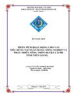 phân tích hoạt động cho vay tiêu dùng tại ngân hàng nông nghiệp và phát triển nông thôn huyện cái bè tỉnh tiền giang
