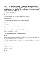 Bài 1,2,3,4,5 trang 101 Sinh 11