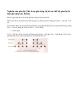 Nghiên cứu phả hệ