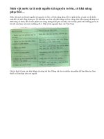 Giá trị của tài nguyên sinh vật