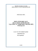 phân tích hiệu quả hoạt động kinh doanh tại công ty tnhh một thành viên vĩnh quán