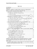 TĂNG CƯỜNG QUẢN lý rủi RO tín DỤNG cá NHÂN tại NGÂN HÀNG kỹ THƯƠNG VIỆT NAM CHI NHÁNH HOÀNG QUỐC VIỆT 