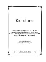 Khảo sát hiệu lực của nấm xanh (metarhizium anisopliae sorokin) trên sùng khoai lang (cylas formicarius fabricius) trong điều kiện phòng thí nghiệm